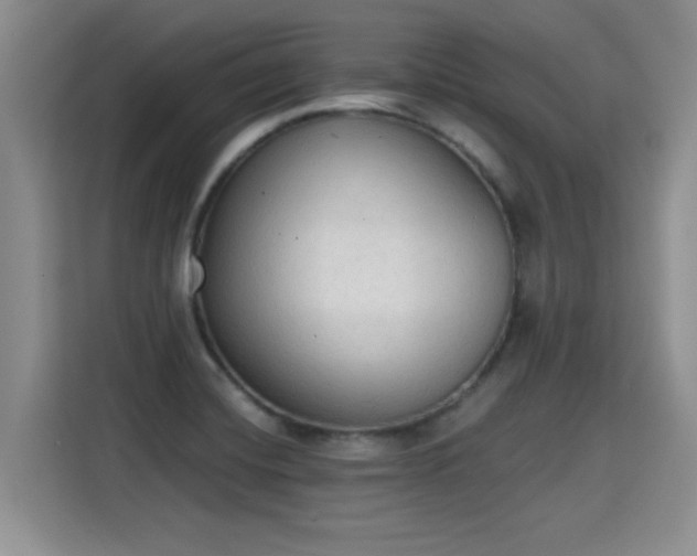 X0000115421420200911101622