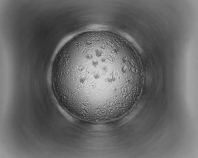 X0000115421421200911101622