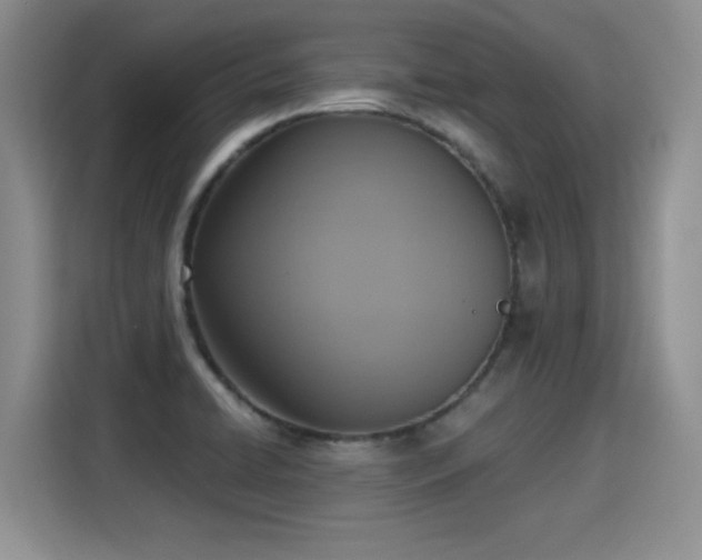 X0000115421422200911101622
