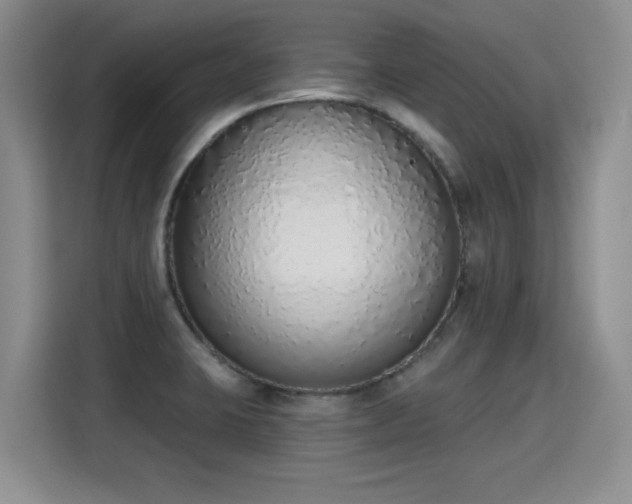 X0000115421423200911101622