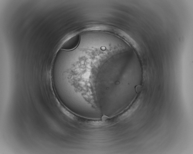 X0000115421425200911101622