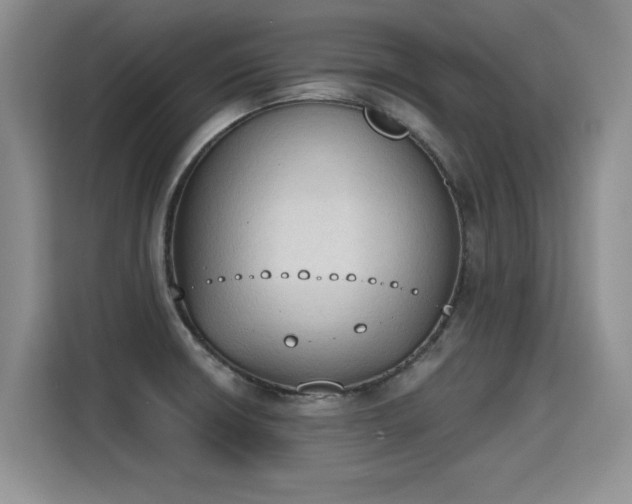X0000115421426200911101622