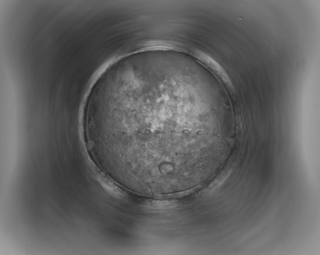 X0000115421427200911101622