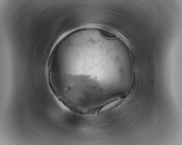 X0000115421428200911101622