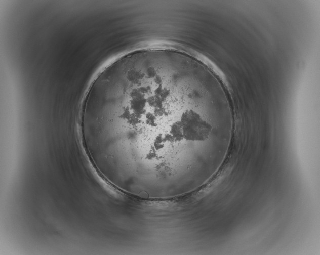 X0000115421429200911101622