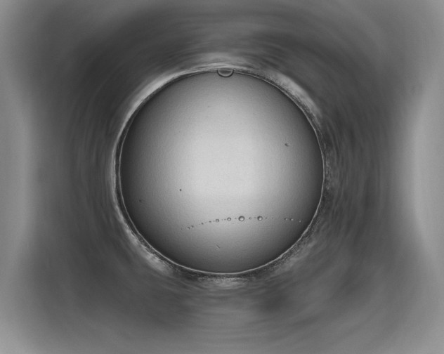 X0000115421431200911101622