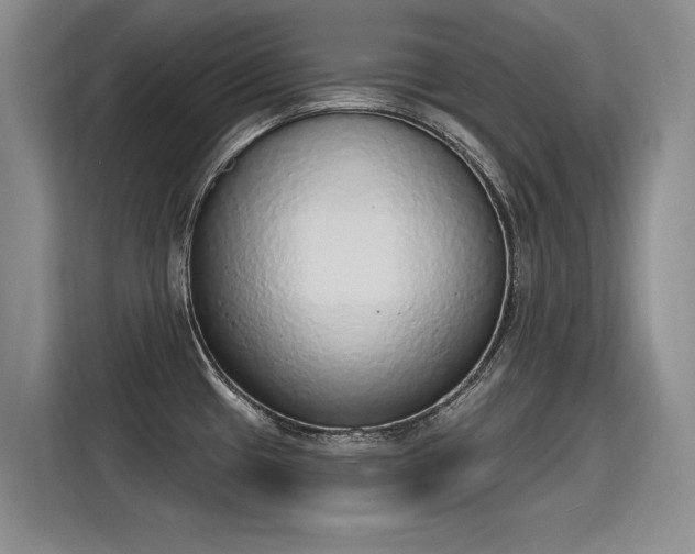 X0000115421433200911101622