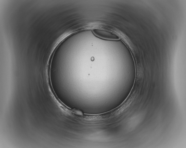 X0000115421434200911101623