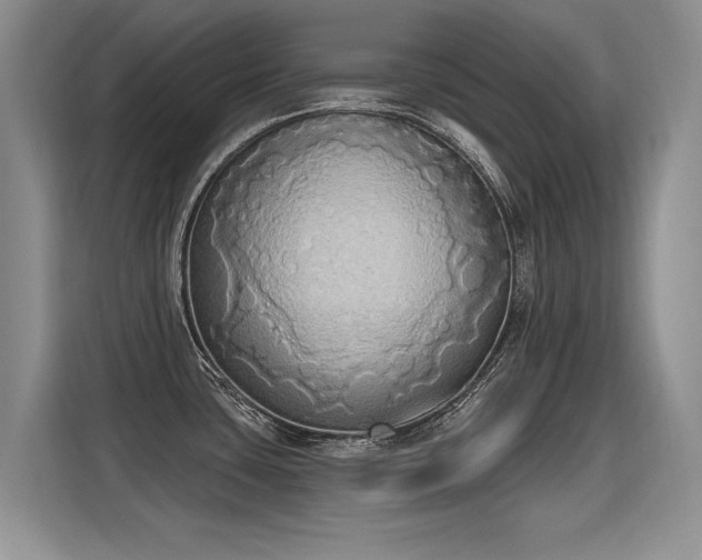 X0000115421435200911101623