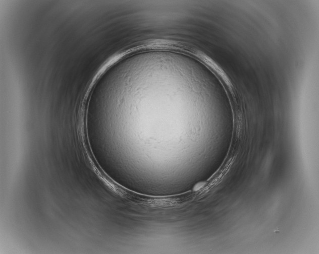 X0000115421437200911101623