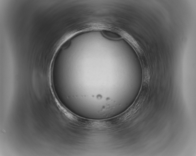 X0000115421439200911101623