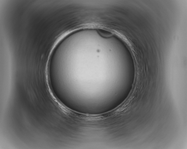 X0000115421440200911101623