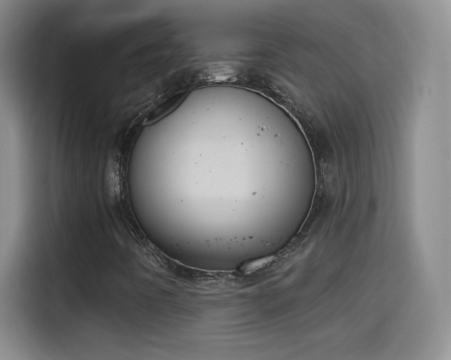 X0000115421442200911101622