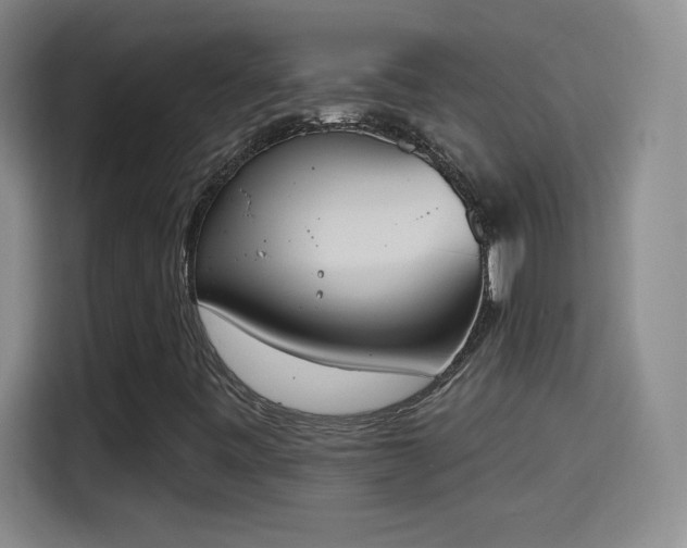 X0000115421443200911101622