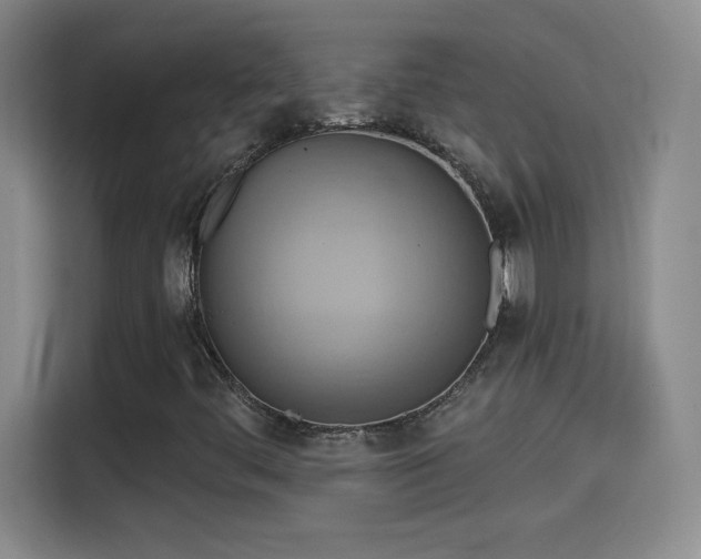 X0000115421444200911101622
