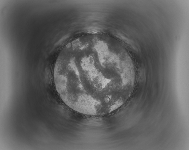 X0000115421446200911101622