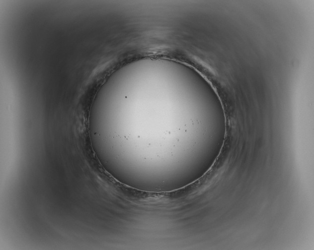 X0000115421447200911101622