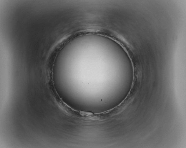 X0000115421448200911101622