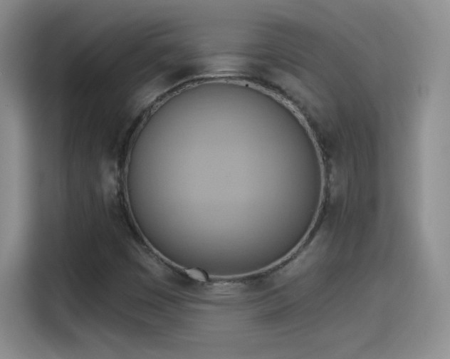 X0000115421449200911101622