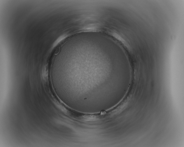 X0000115421450200911101622
