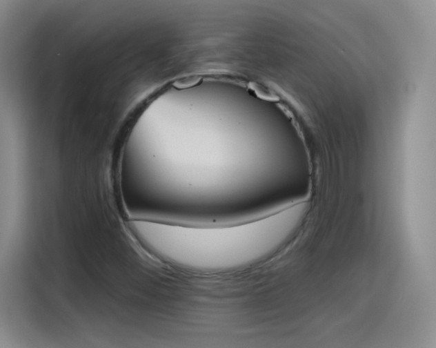 X0000115421452200911101622