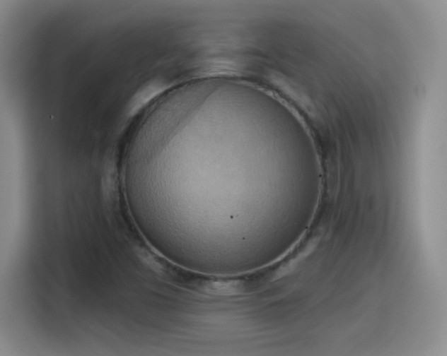X0000115421453200911101622