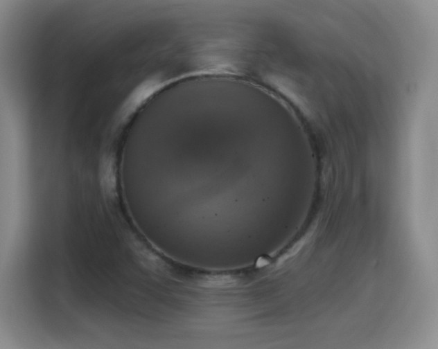 X0000115421455200911101622