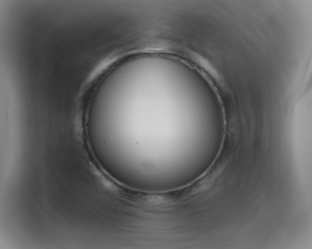 X0000115421456200911101622