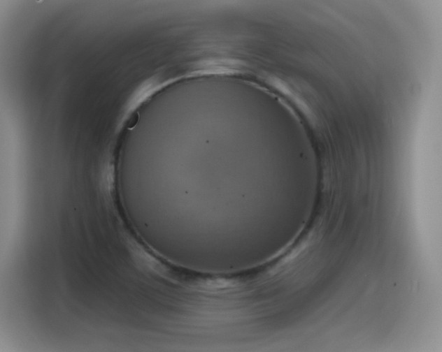 X0000115421459200911101622