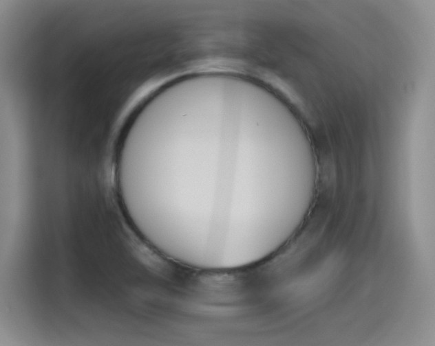 X0000115421462200911101622
