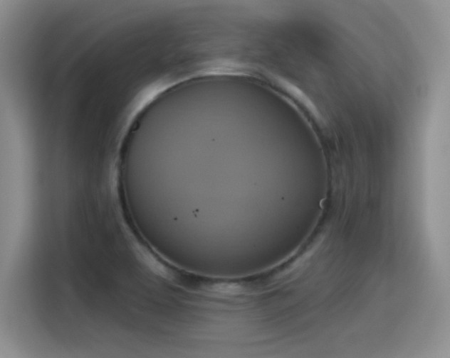 X0000115421463200911101622
