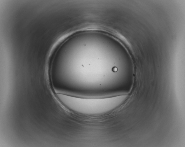 X0000115421464200911101622