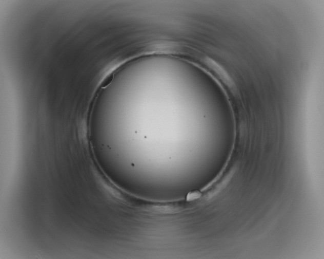 X0000115421465200911101622