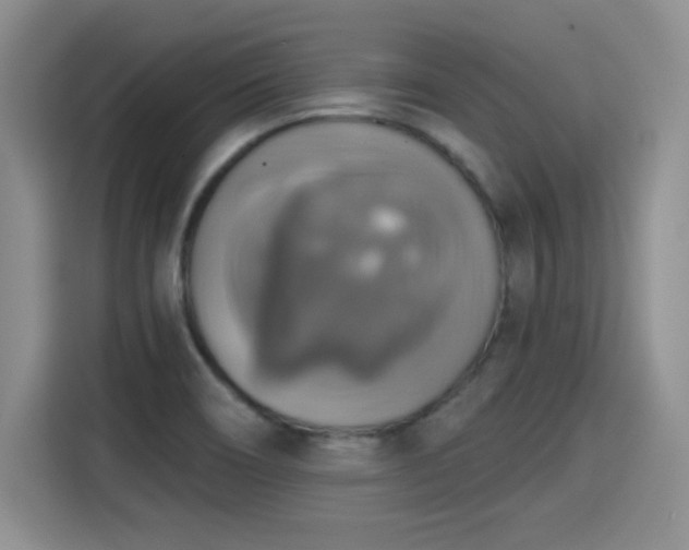 X0000115421466200911101622