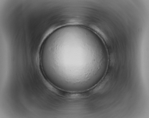 X0000115421467200911101622