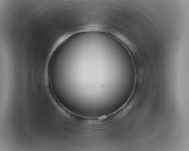 X0000115421469200911101622