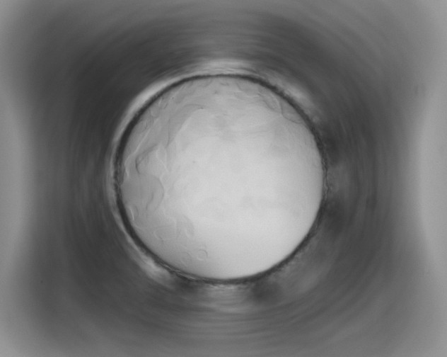 X0000115421470200911101622