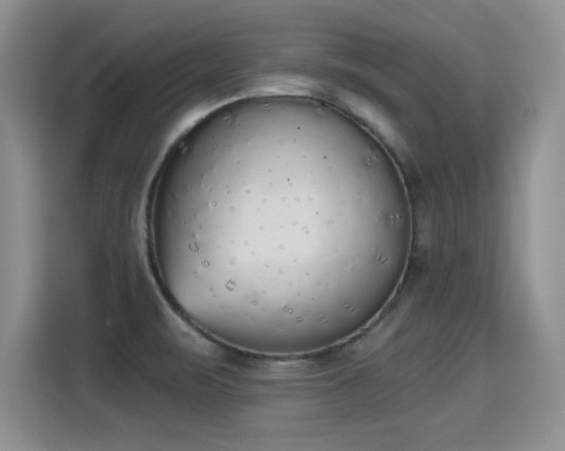 X0000115421471200911101622