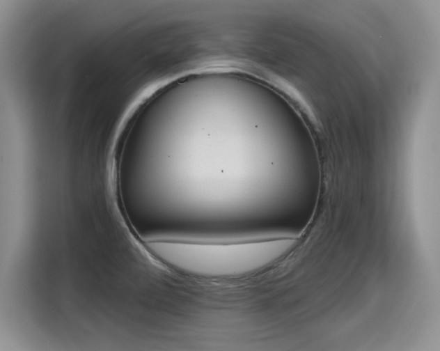 X0000115421472200911101622