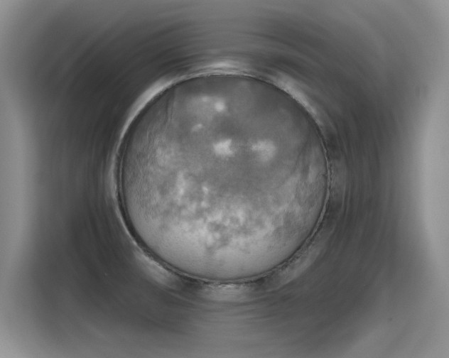 X0000115421474200911101622