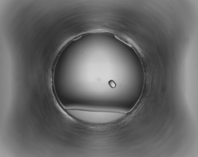 X0000115421476200911101622