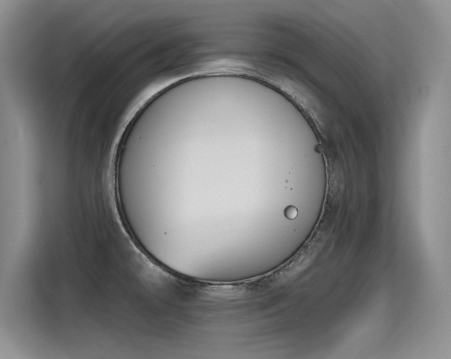 X0000115421478200911101621