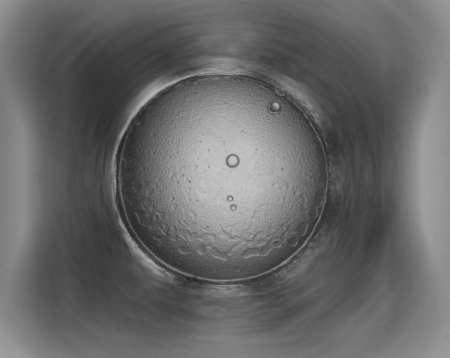 X0000115421479200911101621