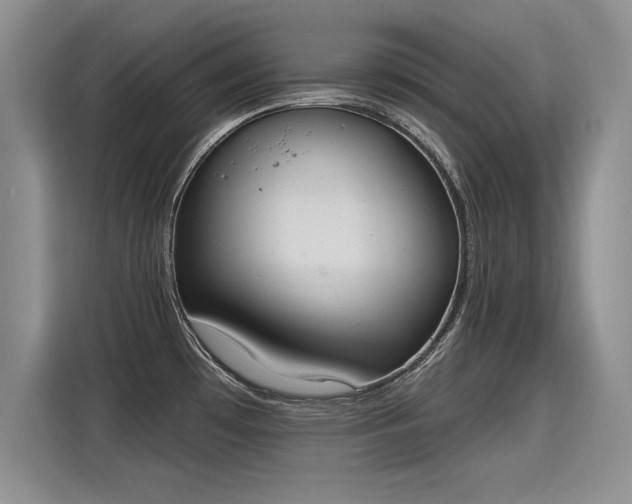 X0000115421481200911101621