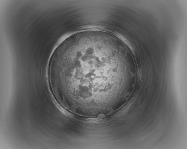 X0000115421482200911101621