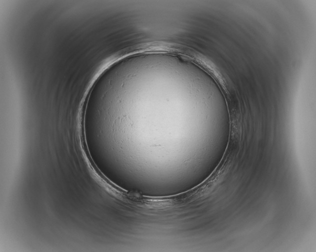 X0000115421483200911101621