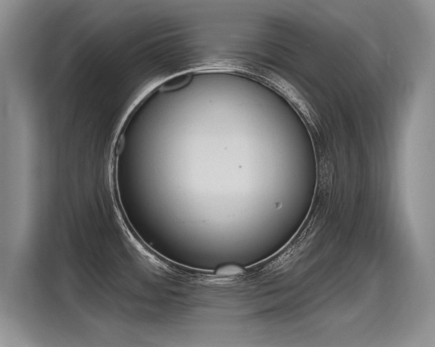 X0000115421484200911101621