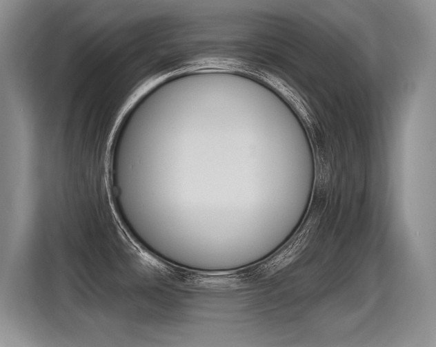 X0000115421486200911101621