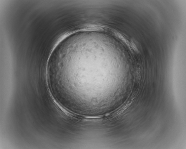 X0000115421487200911101621