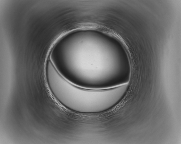 X0000115421488200911101621